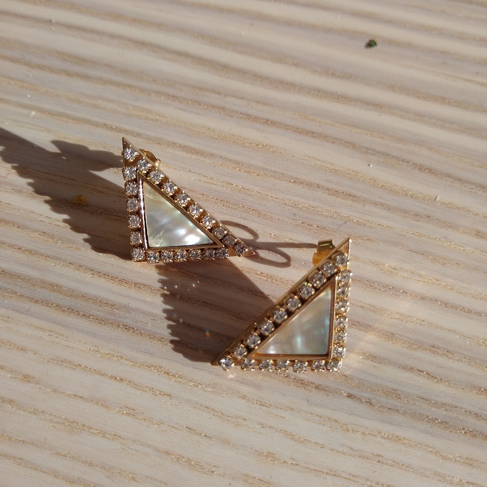 Shelly Brown Coastline Abalone/14kt Earrings